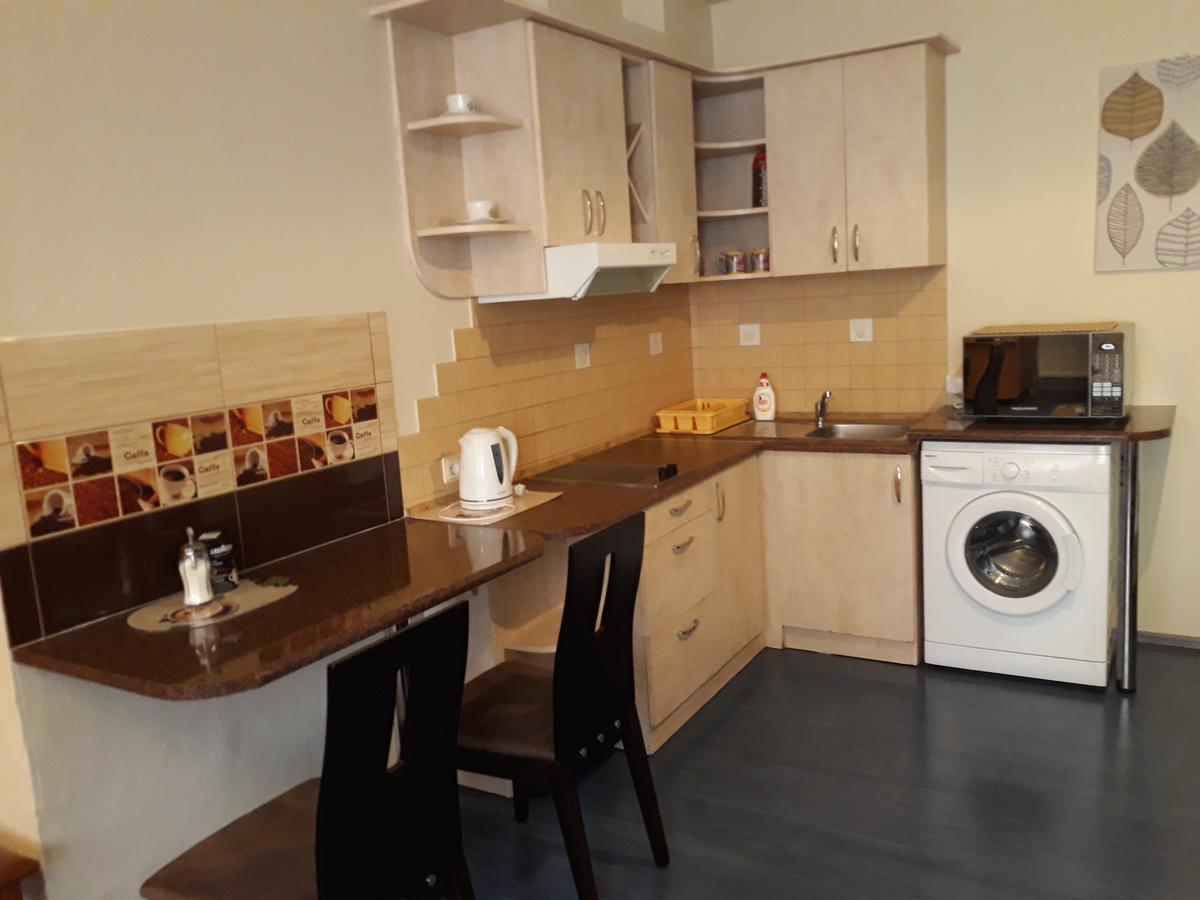 Town Center Studio Apartment Даугавпилс Екстериор снимка