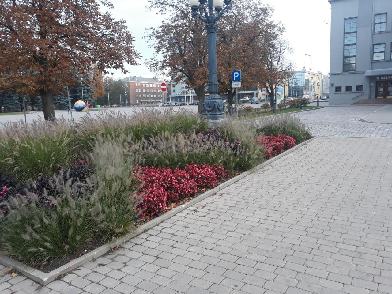 Town Center Studio Apartment Даугавпилс Екстериор снимка
